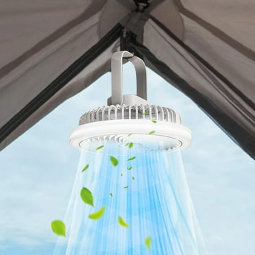 Ceiling Fan with Lights Enclosed Low Fan Light Ceiling Light with Fan USB Rechargeable Fan