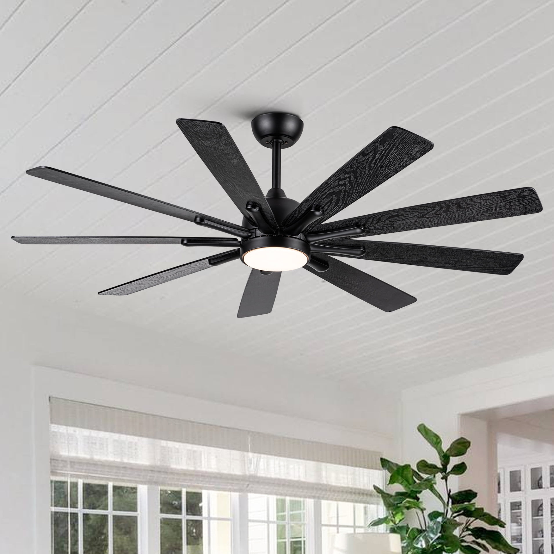 Ceiling Fans with Lights and Remote, 62 In Ceiling Fan with Dimmable 3
