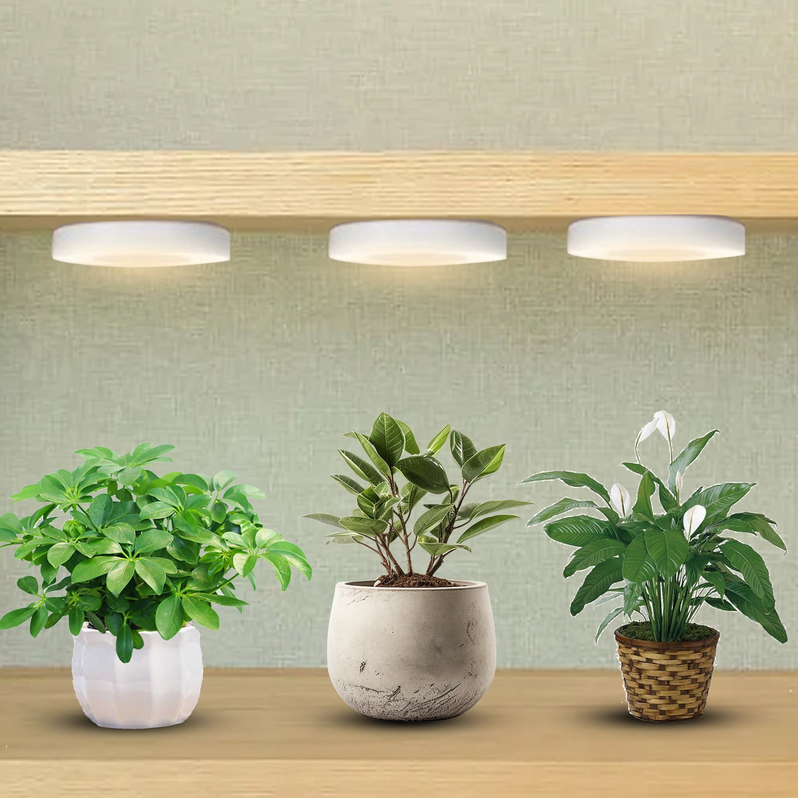 Ceiling Grow Light For Indoor Plants. LED Full Light Under Cabinet Growing Lamp With 3/9/12H Auto Timer. - Walmart.com
