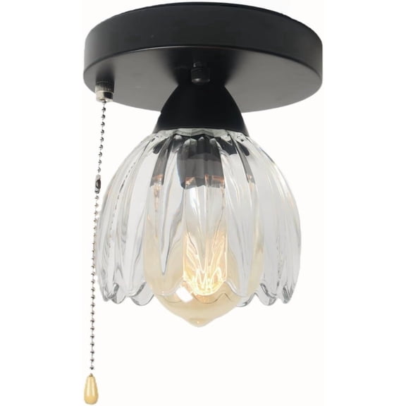 Ceiling Light Fixture with Pull Cord for Entry Hallway Kitchen 1-Light E26