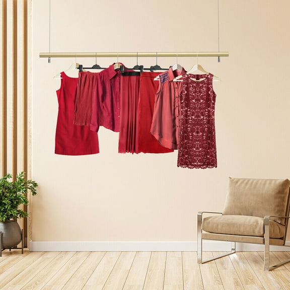 Ceiling Mounted Garment Hanger Closet Organizer Dress Hanging Rod Clothes Rack
