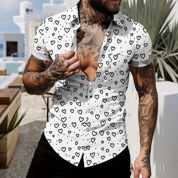 Ceisia Men Casual Fashion Turndown Collar Stripe Printing Gift Short Sleeve Button Shirt
