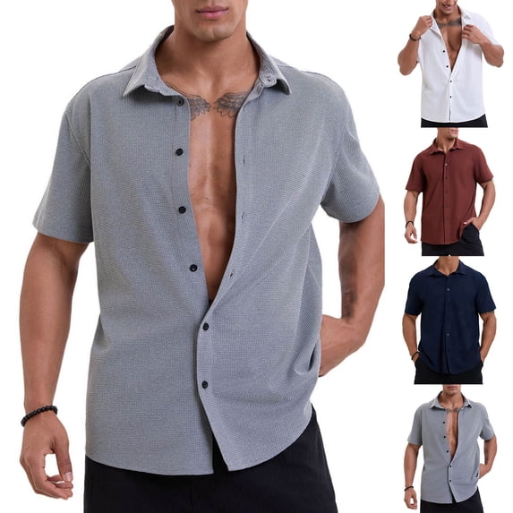 Ceisia Men's Loose Fit Short-Sleeve Casual Shirt Fine Grid Texture Button Turn-Down Collar Spring Summer Shirt Gift
