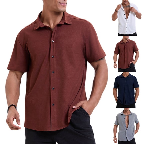 Ceisia Men's Loose Fit Short-Sleeve Casual Shirt Fine Grid Texture Button Turn-Down Collar Spring Summer Shirt Gift