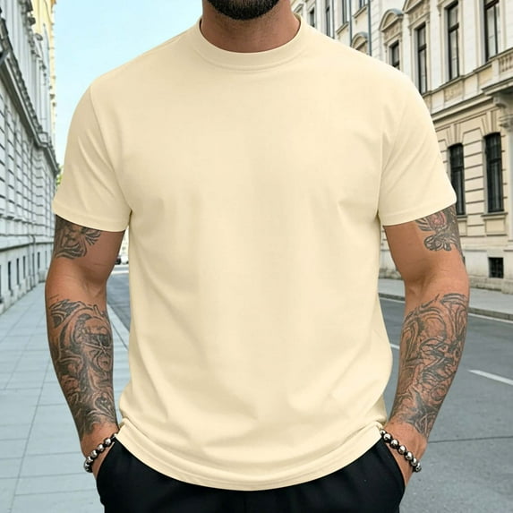 Ceisia Men's Slim Fit Short-Sleeve Mock Neck Basic T-Shirt Solid Color Spring Summer Shirt Gift