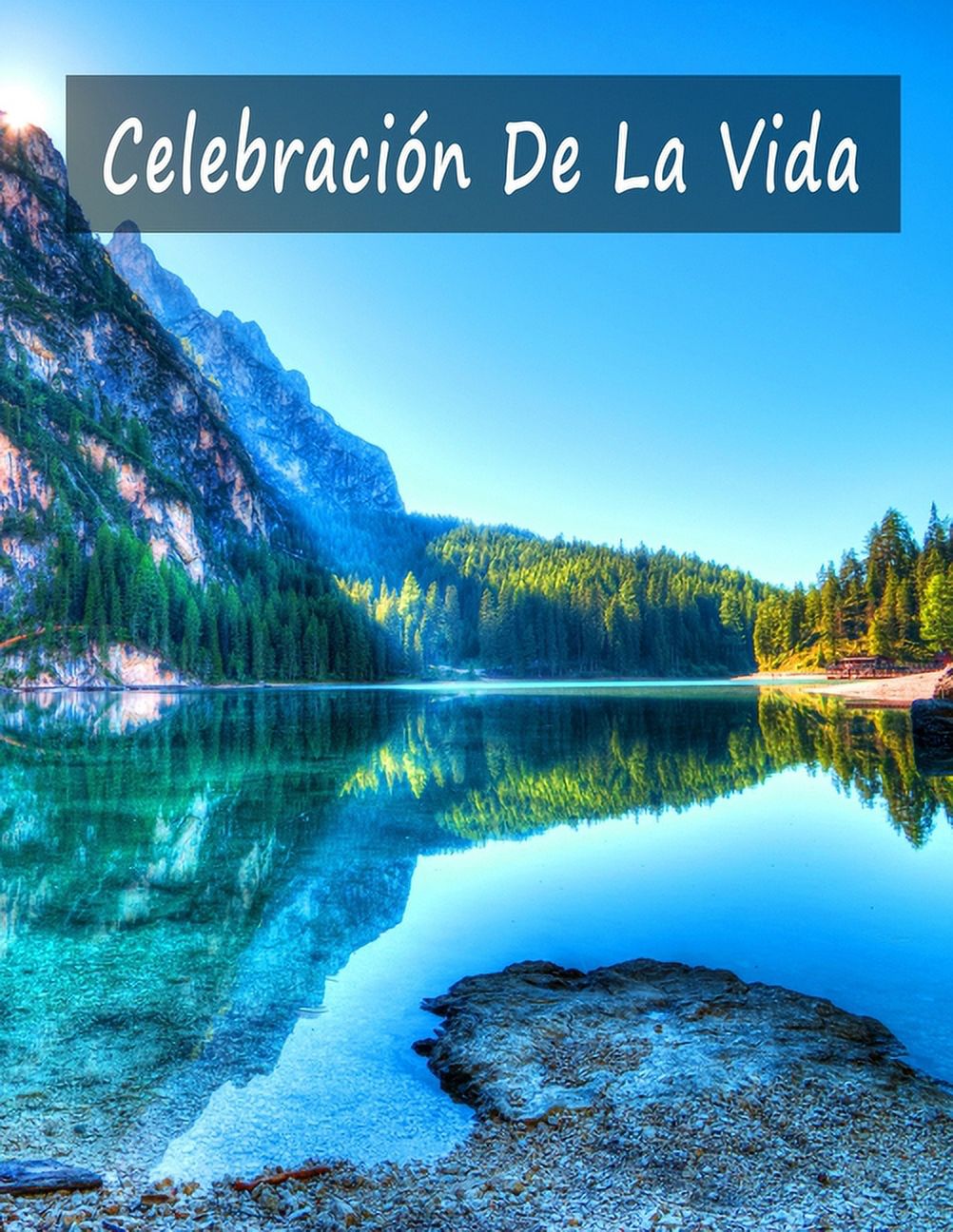 Celebración de la vida : Libro de visitas para servicios funerarios y  conmemorativos, Libro de condolencias, Libro de recuerdos, Libro de  registro, libro de invitados de bodas, libro de invitados a fiestas