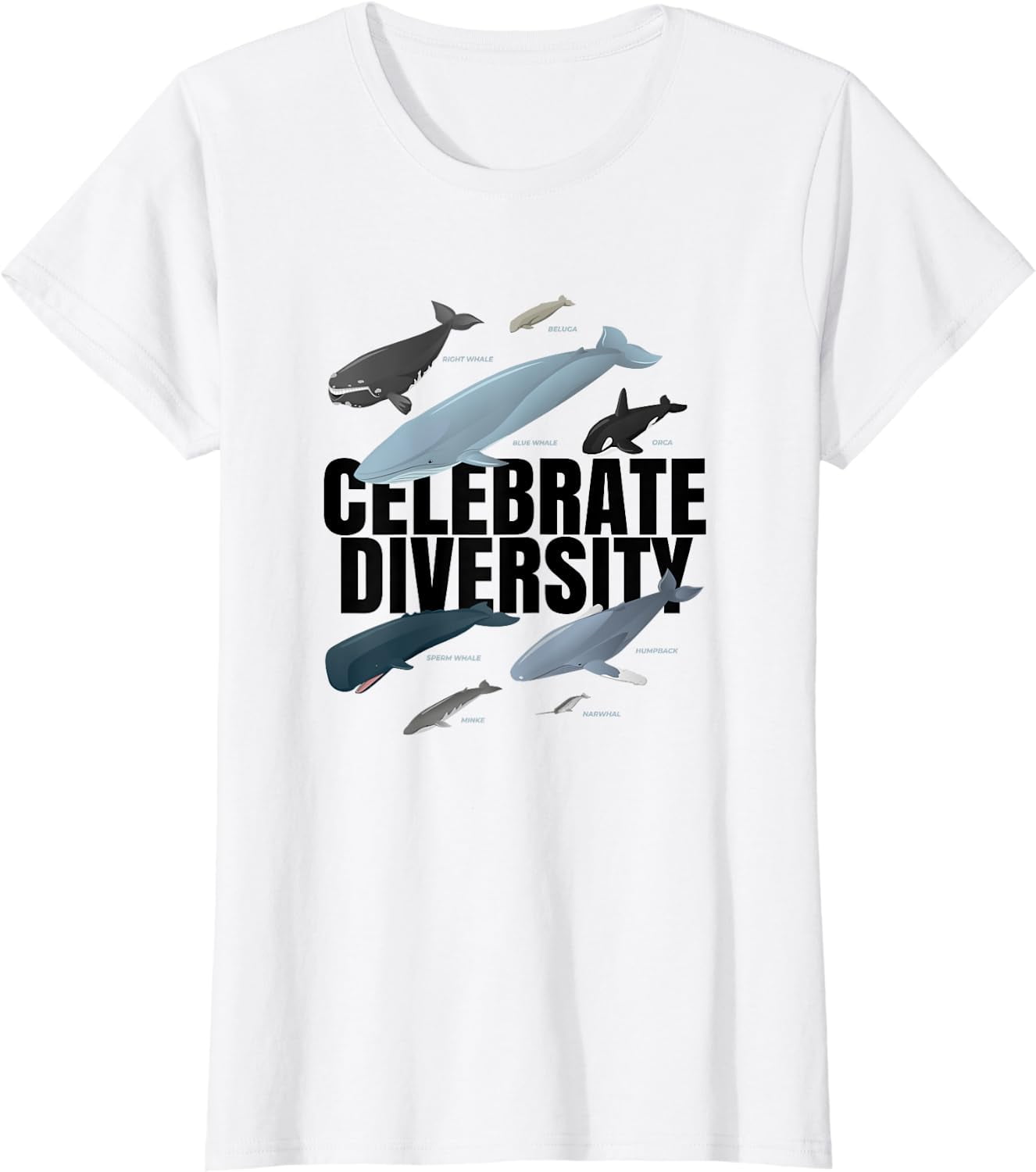 Celebrate Diversity Types of Whales Gifts for Whale Lovers T