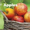 thumbnail image 1 of Celebrate Fall Apples, (Paperback), 1 of 1
