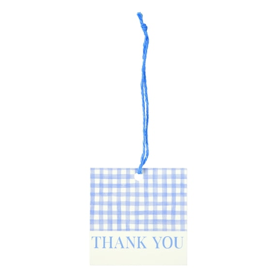 Celebrate It Gift Tags - "Thank You" Favor Tags with Blue Gingham Design, 3.5" x 3.5", 24 Packs (288 Total)