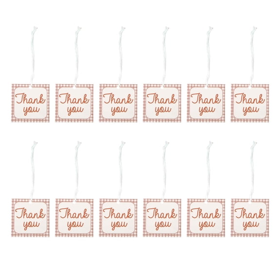 Celebrate It Gift Tags - "Thank You" Favor Tags with Brown Gingham Border, Pink, 3.5" x 3.5", 24 Packs (288 Total)