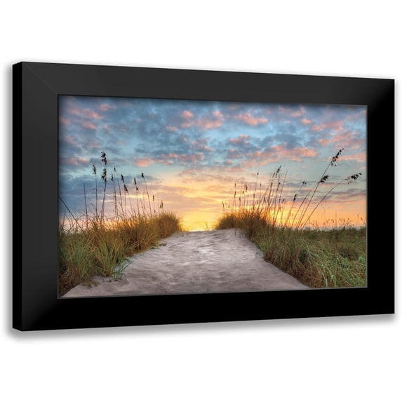 Celebrate Life Gallery, 14x11 Black Modern Framed Museum Art Print Titled - Over the Top