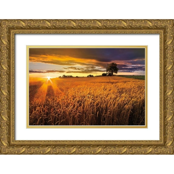 Celebrate Life Gallery 14x11 Gold Ornate Wood Framed with Double Matting Museum Art Print Titled - Sunlight On the Wheat Fields