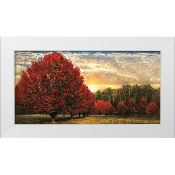 Celebrate Life Gallery 14x9 White Modern Wood Framed Museum Art Print Titled - Crimson Trees