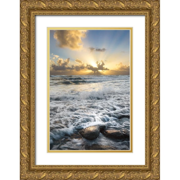 Celebrate Life Gallery 23x32 Gold Ornate Wood Framed with Double Matting Museum Art Print Titled - Crash