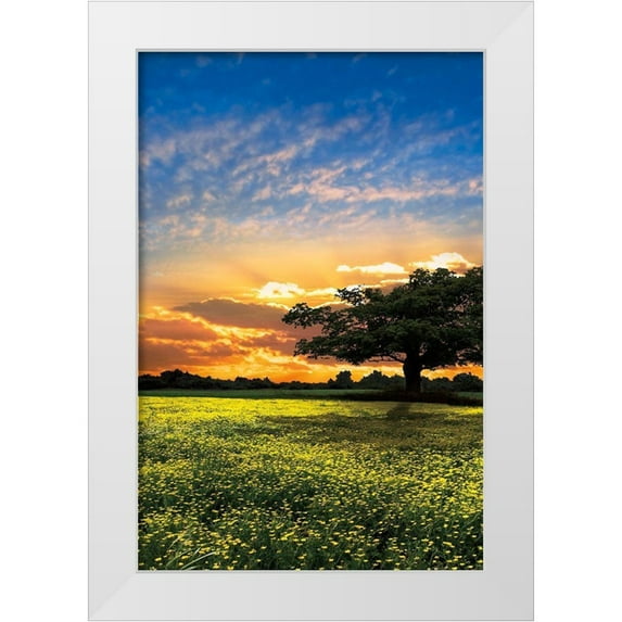 Celebrate Life Gallery 23x32 White Modern Wood Framed Museum Art Print Titled - Shadows at Sunset II