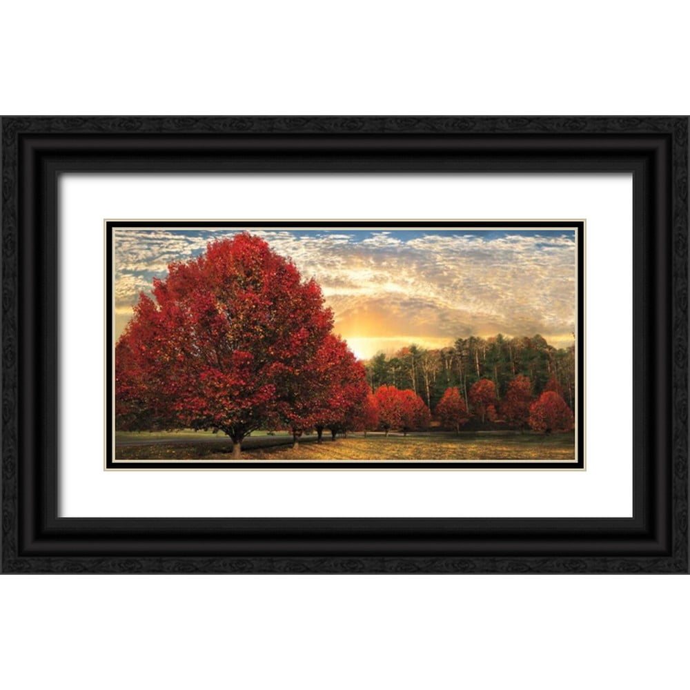 Celebrate Life Gallery 32x18 Black Ornate Wood Framed with Double ...