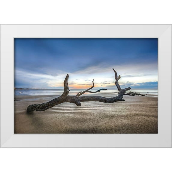 Celebrate Life Gallery 32x23 White Modern Wood Framed Museum Art Print Titled - Bones Beach