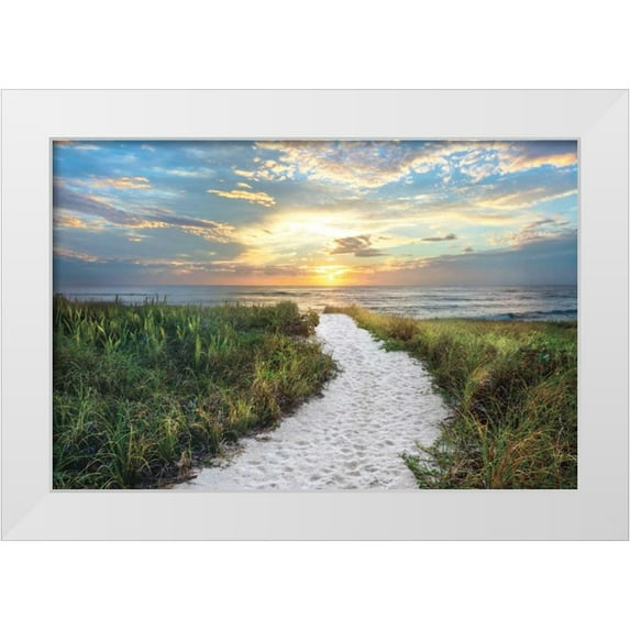 Celebrate Life Gallery 32x23 White Modern Wood Framed Museum Art Print Titled - Morning Trail