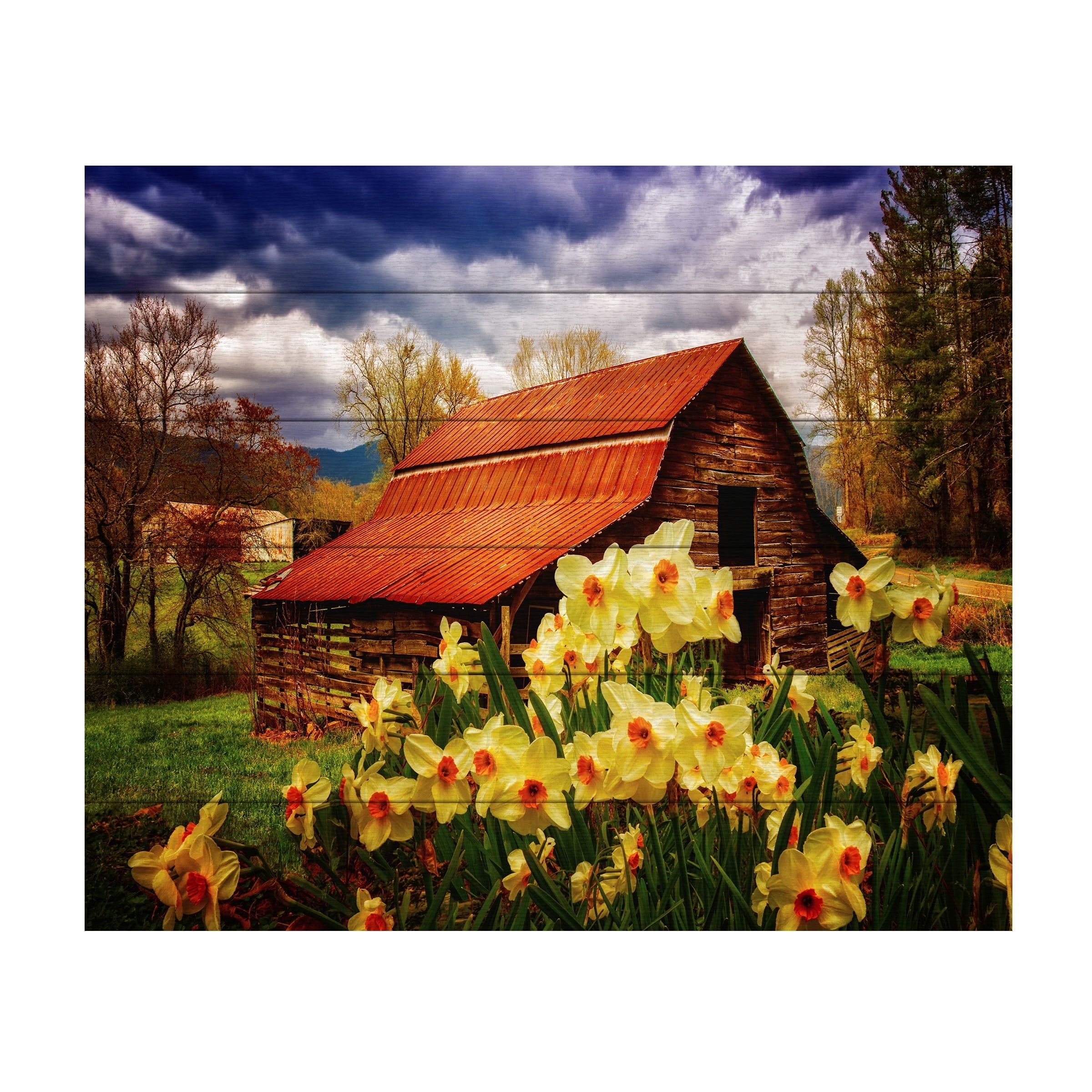 Celebrate Life Gallery 'Barn in Daffodils' Wood Slat Art