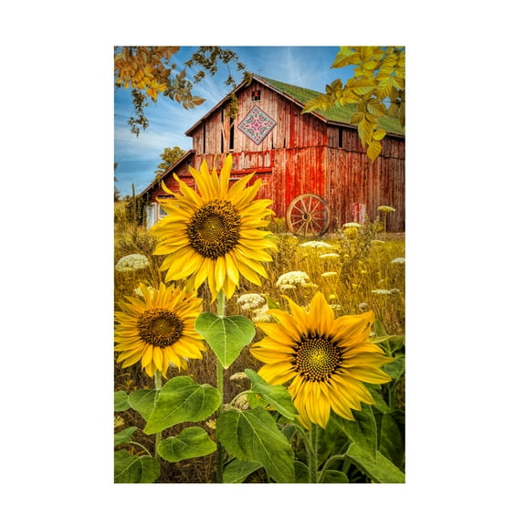 Celebrate Life Gallery 'Golden Sunflowers Red Barn' Canvas Art