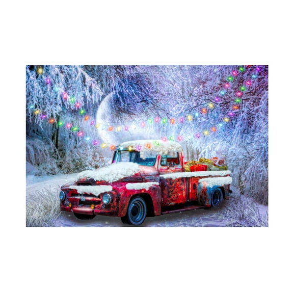 Celebrate Life Gallery 'Wonderland Of Lights' Canvas Art