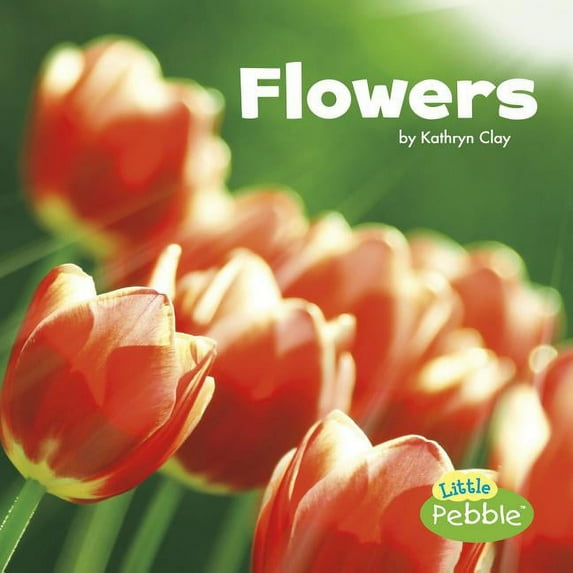 Celebrate Spring: Flowers (Paperback)