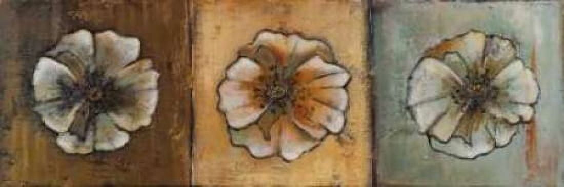 Celebration II Canvas Art - Patricia Pinto (12 x 36)