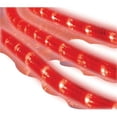 thumbnail image 1 of Celebrations 2T41A514 18 ft. Incandescent Flexible Rope Light  Red & Clear Light, 1 of 2