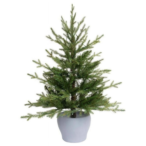 Celebrations 9096337 3 ft. Full LED Fraser Fir Potted Color Changing Porch Bush, Multi Color - 50 Count