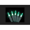 thumbnail image 1 of Celebrations 4001088S-04AC Platinum Mini Green 50 LED Light String, 1 of 1