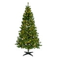 thumbnail image 1 of Celebrations 7 ft. Slim LED 400 lights Pine Christmas Tree, 1 of 1