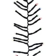 thumbnail image 1 of Celebrations 9017089 6.6 ft. LED Light Set, Multi Color - 192 Lights, 1 of 1