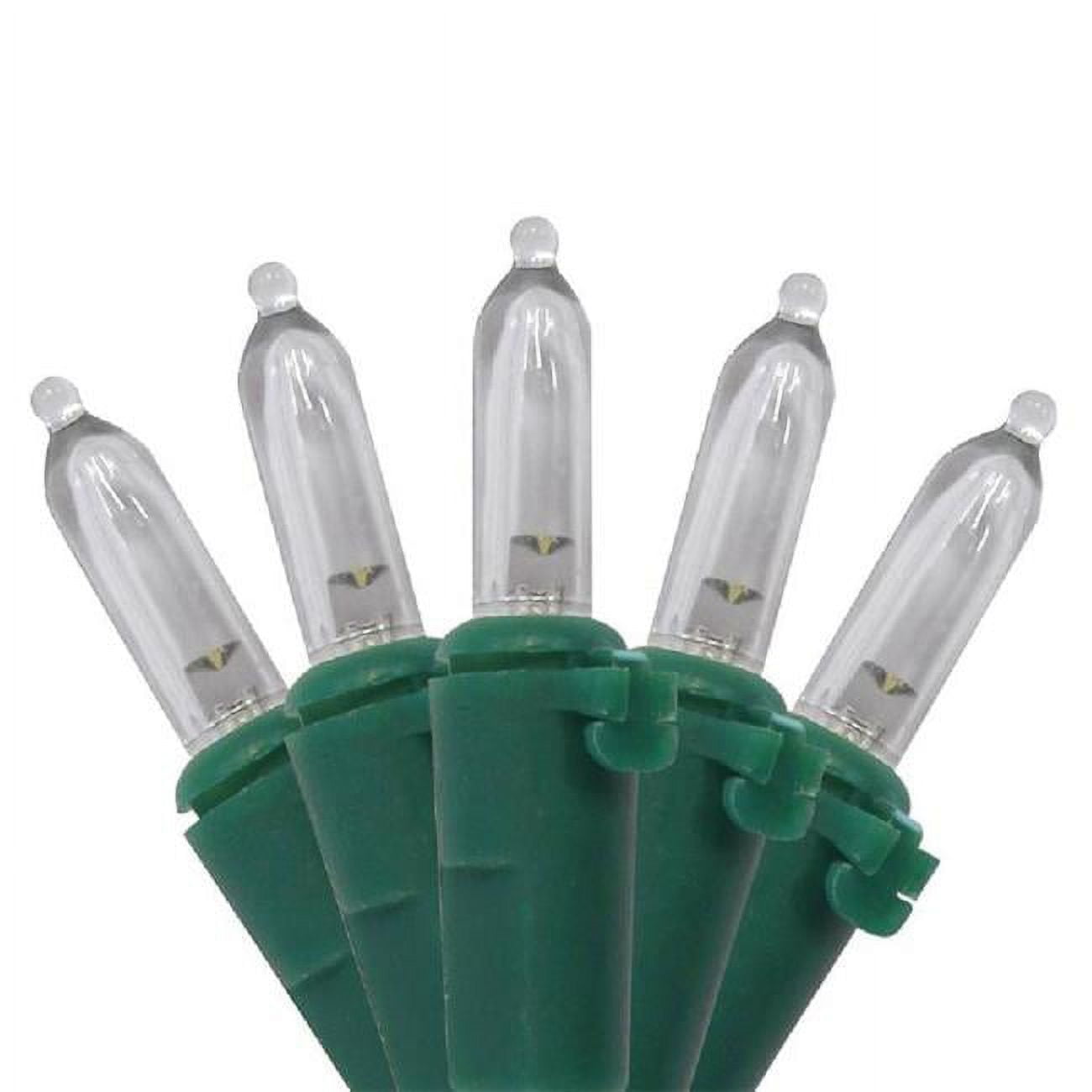 Celebrations 9046341 LED Battery Operated Mini Lights, Warm White 50