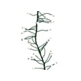 thumbnail image 1 of XMAS LGT LED WM WHT 250C (Pack of 1), 1 of 3