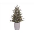 thumbnail image 1 of Celebrations 9080945 4 ft. Full LED 80 Light Misty Allison Pine Christmas Tree, Clear & Warm White, 1 of 4
