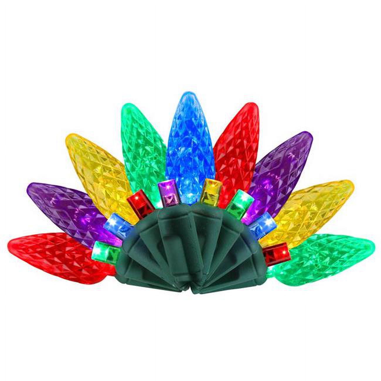 Celebrations 9086411 25 ft. Platinum LED C6 String Christmas Lights