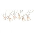 thumbnail image 1 of Celebrations LED Warm White 10 ct String Christmas Lights, 1 of 3