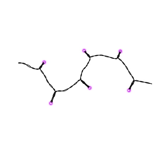 Celebrations BO5M50BPVCORPLA LED Light String Halloween Decor, Purple