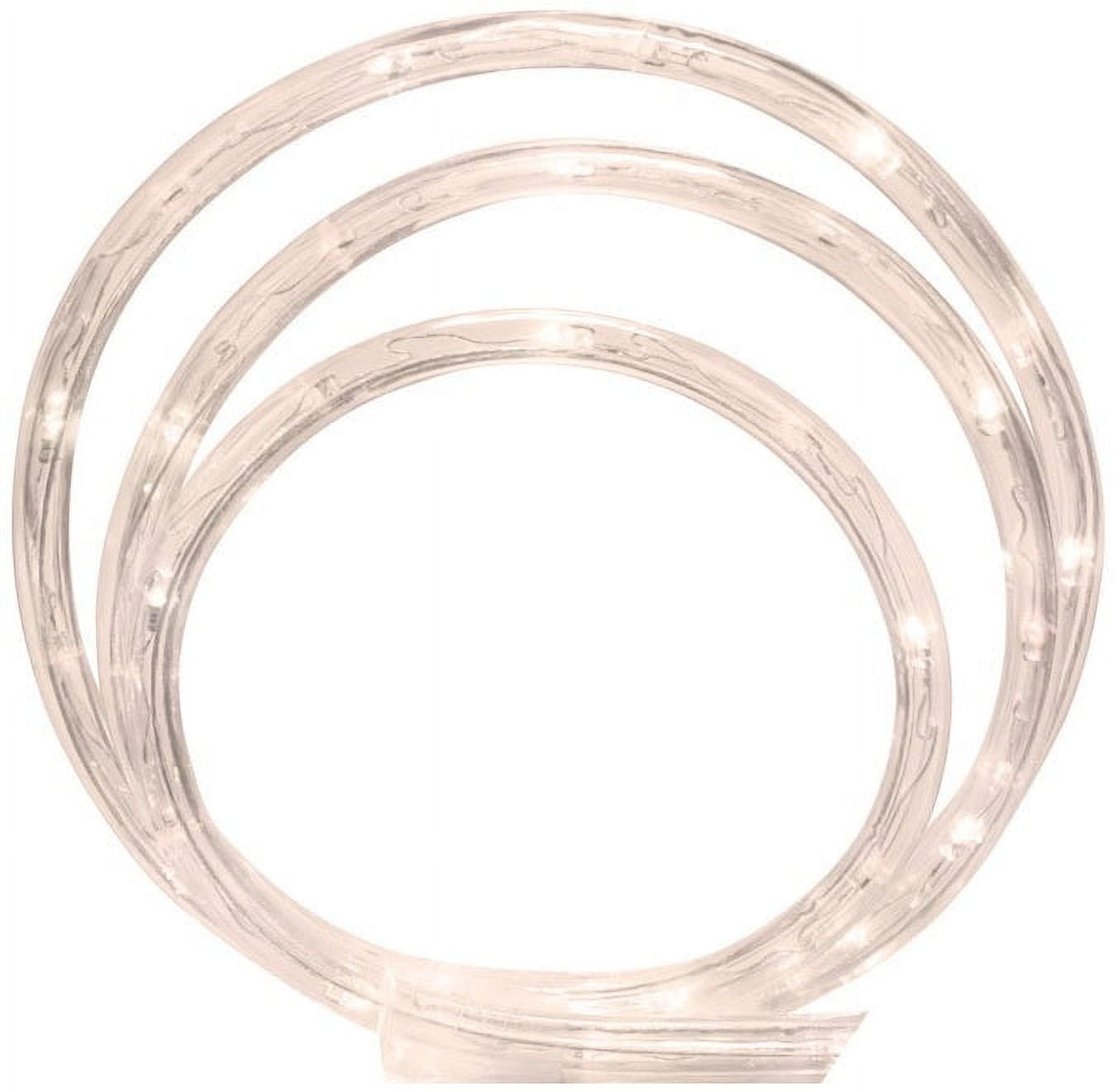 Celebrations Celebrations 2T41A912 LED Rope Christmas Light Set, Warm