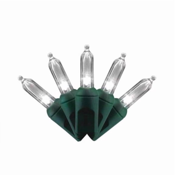 Celebrations Light LED Pure WHT 100CT