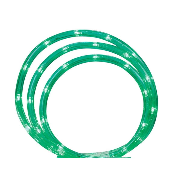 Celebrations LED Rope Light Set Green Plastic 1 pk