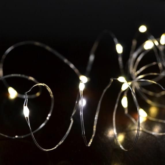 Celebrations Micro Color Changing 100 count Light Set