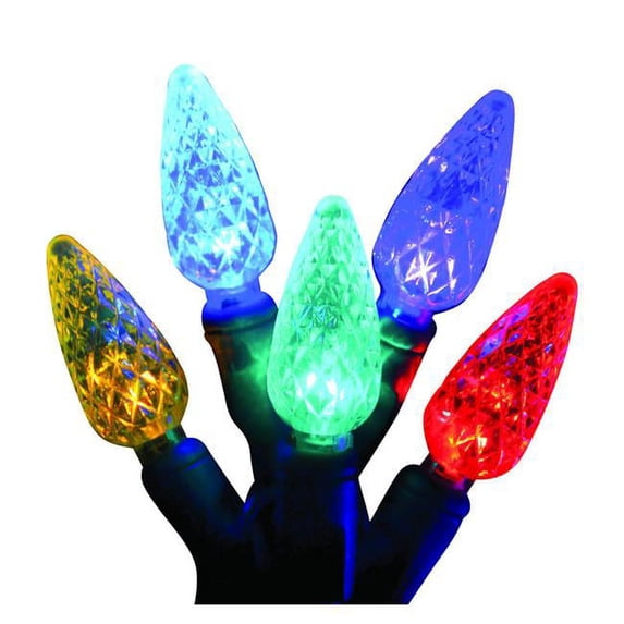 Celebrations Platinum LED C6 50 count String Christmas Lights