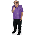 thumbnail image 1 of Celebrity Cutouts Recyclable Danny DeVito Cardboard Stand-Up, Lifelike, 1 of 5
