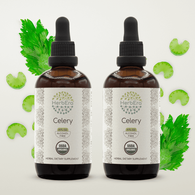 Celery AlcoholFREE Herbal Extract Tincture, SuperConcentrated Organic