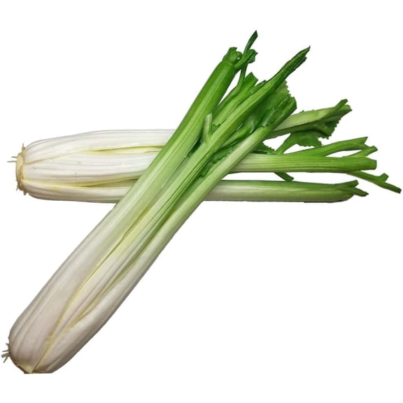 Celery, Artificial Vegetables, Green Fake Vegetables for Decoration, Home Decor Market Display Kids Toy Kitchen Decoration Celery Stick 2Pcs