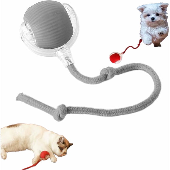 Celery Pets Cat Toy Ball, Celery Pets, Speedy Tail 2.0, Smart Interactive Cat Toy Ball, Cat Toy Speedy Tail 2.0, Automatic Interactive Dog Toy Moving Ball (Grey)