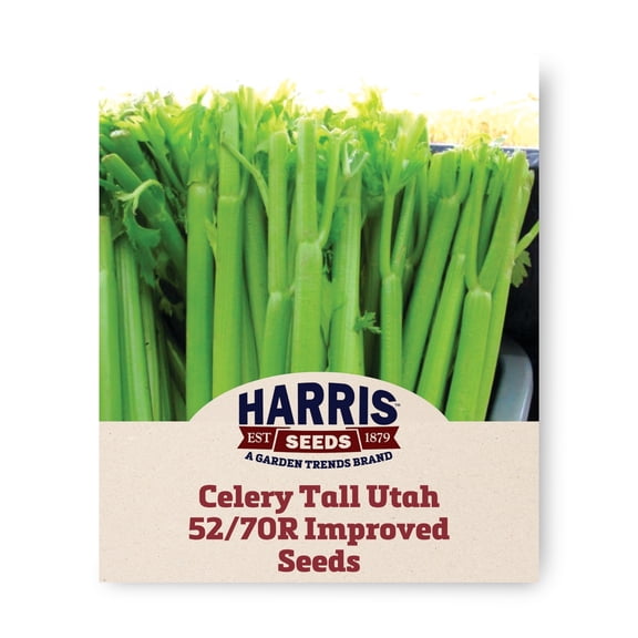 Harris Seeds Tall Utah 52/70R Improved Celery, Dark Green Celery, 250 Count
