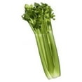 thumbnail image 1 of Celery Tall Utah Great Heirloom Vegetable BULK Wholesale 1/4 Lb Seeds, 1 of 1