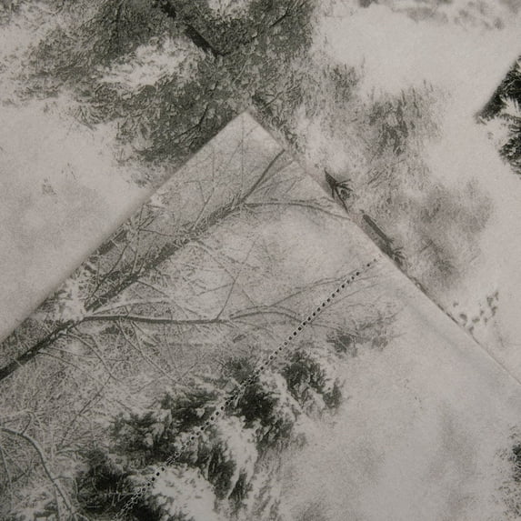 Celeste Home 190 GSM Cotton Flannel Velvet Feel Bed Sheet Set Winterland Queen Flannel